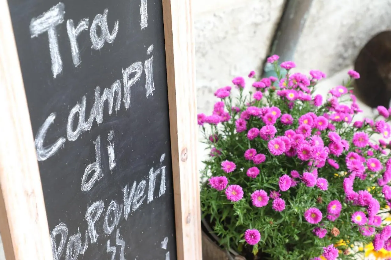 *** Bed & Breakfast Tra i Campi Di Papaveri Medesano Italia